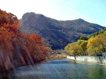 澳门天天免费精准大全，山樟木